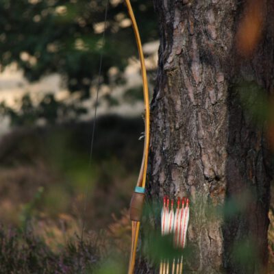 The Bamboo Longbow